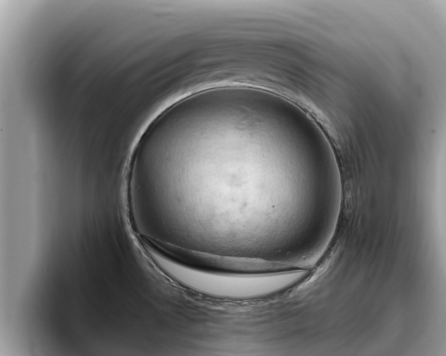 X0000093411530200710190934