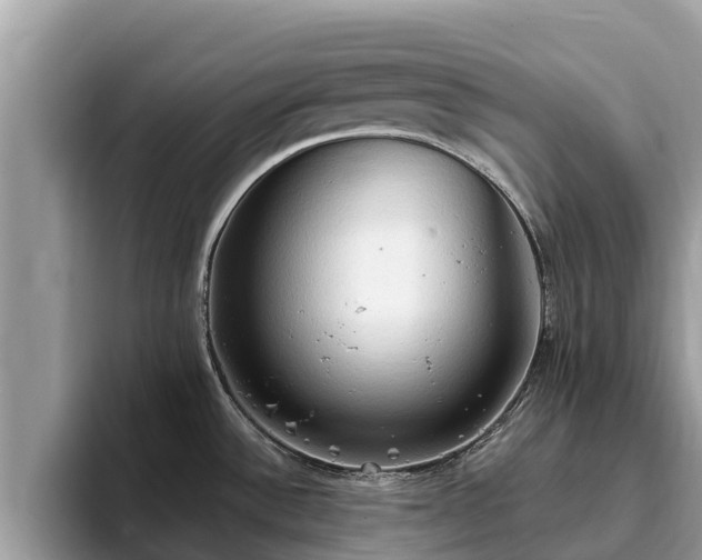 X0000093411532200710190934