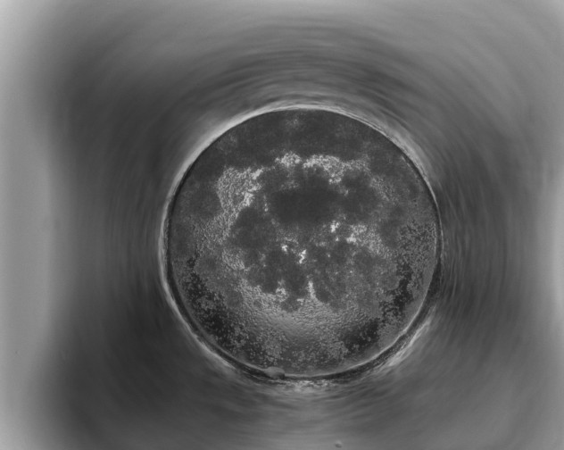 X0000093411533200710190934