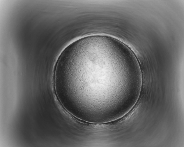 X0000093411534200710190934