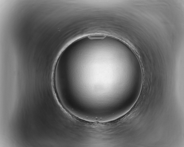 X0000093411536200710190934