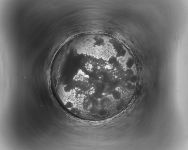 X0000093410002200710260947