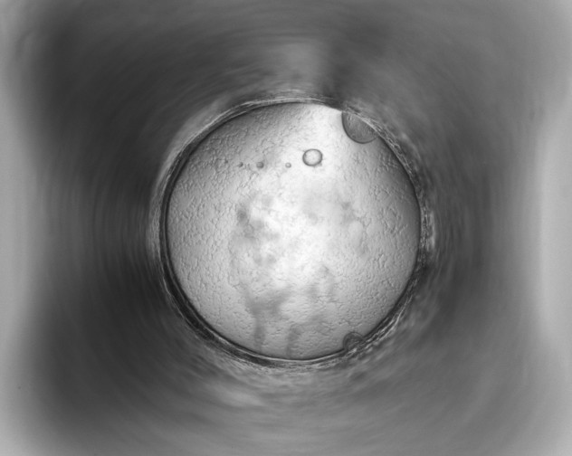 X0000093410004200710260947