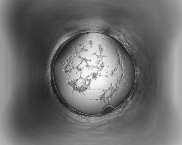 X0000093410006200710260947