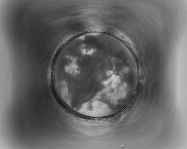 X0000093410012200710260947