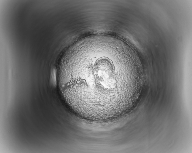 X0000093410022200710260947