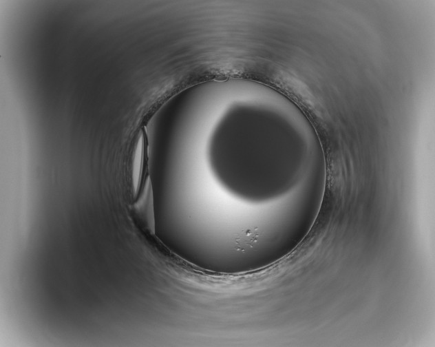 X0000093410023200710260947