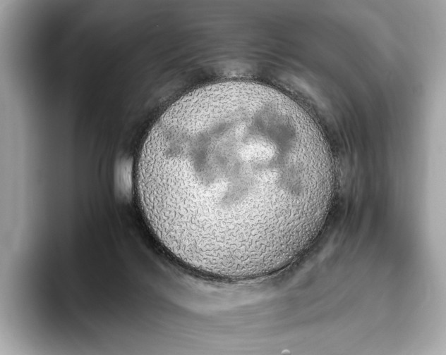 X0000093410028200710260947