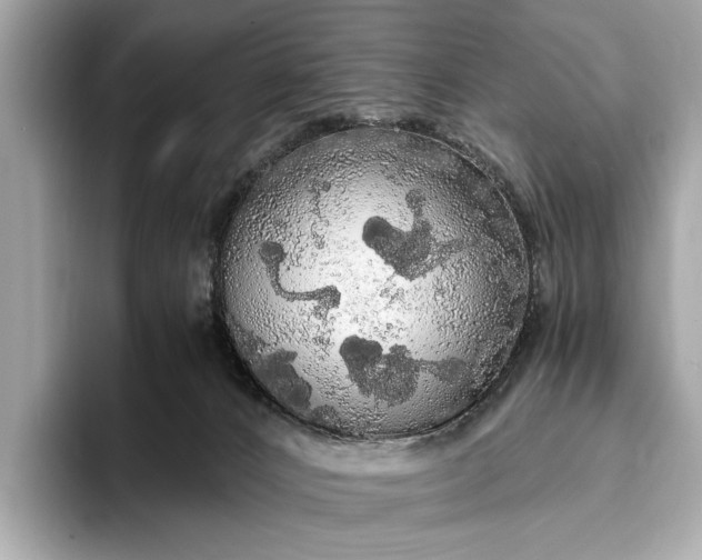 X0000093410032200710260947