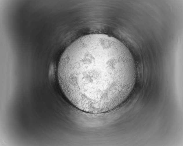 X0000093410038200710260947