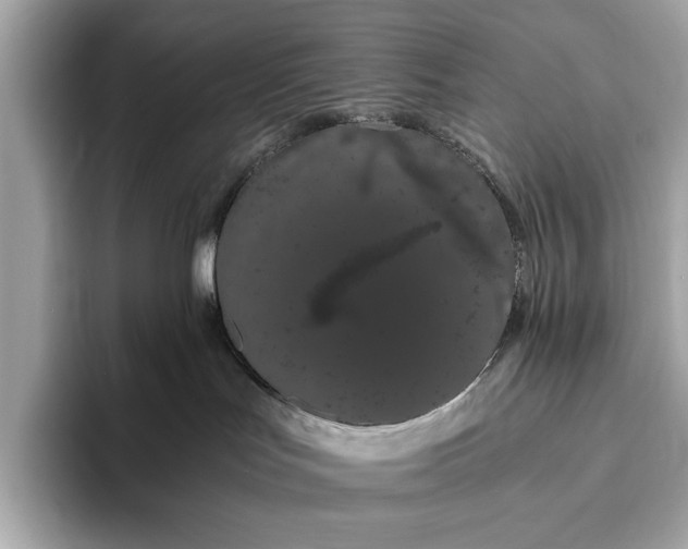 X0000093410047200710260947