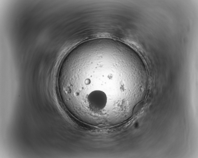 X0000093410049200710260946