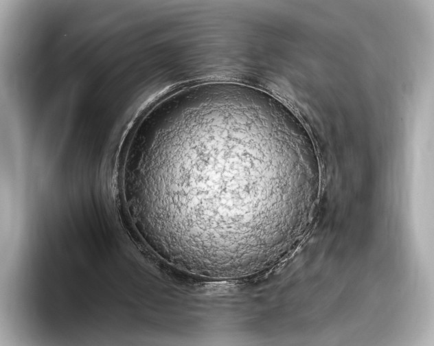 X0000093410050200710260946