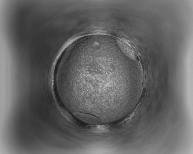 X0000093410056200710260946