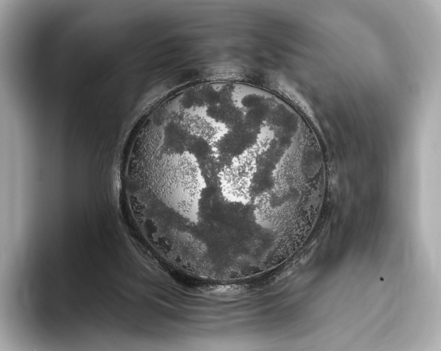 X0000093410059200710260946