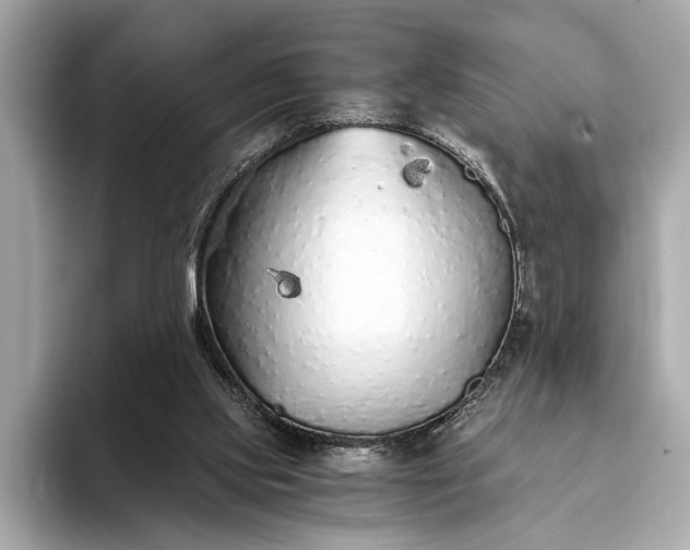 X0000093410061200710260946