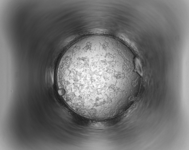 X0000093410062200710260946