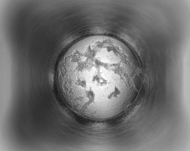 X0000093410063200710260946