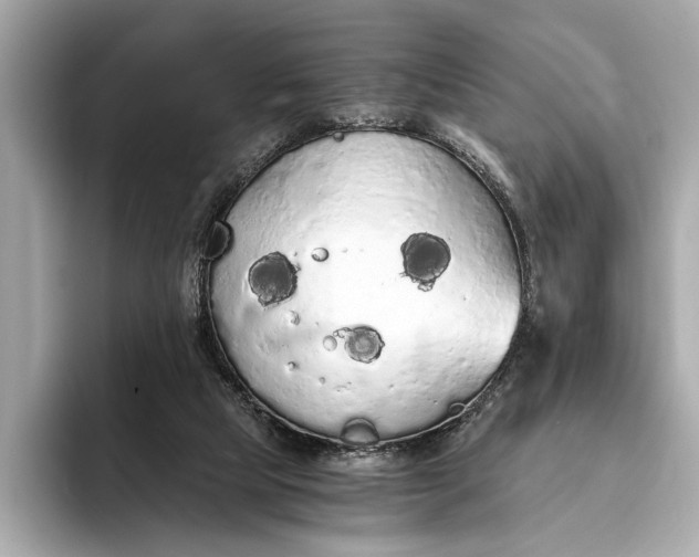 X0000093410065200710260946