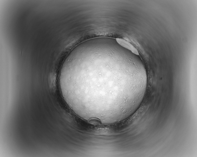 X0000093410066200710260946