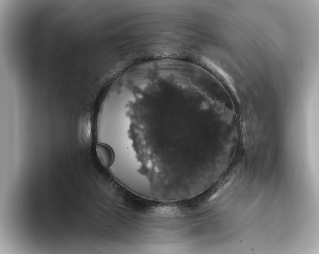 X0000093410067200710260946