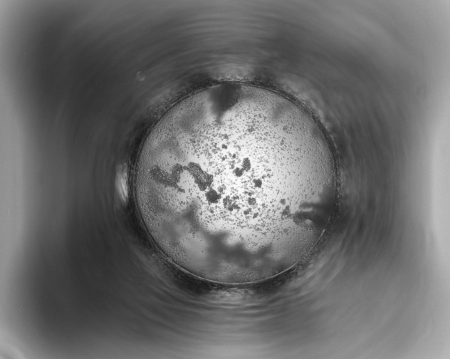 X0000093410069200710260946