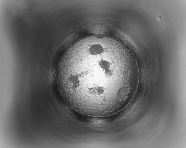 X0000093410073200710260946