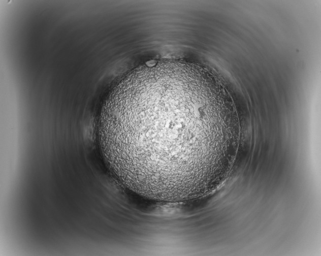 X0000093410078200710260946