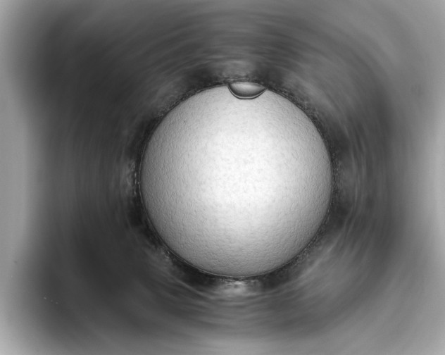 X0000093410083200710260946