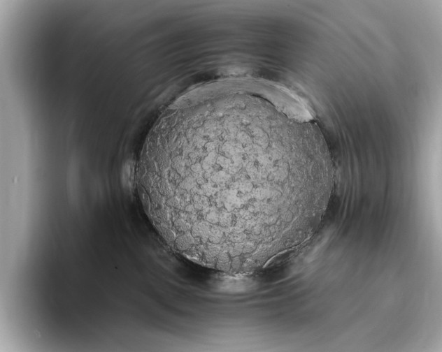 X0000093410093200710260947