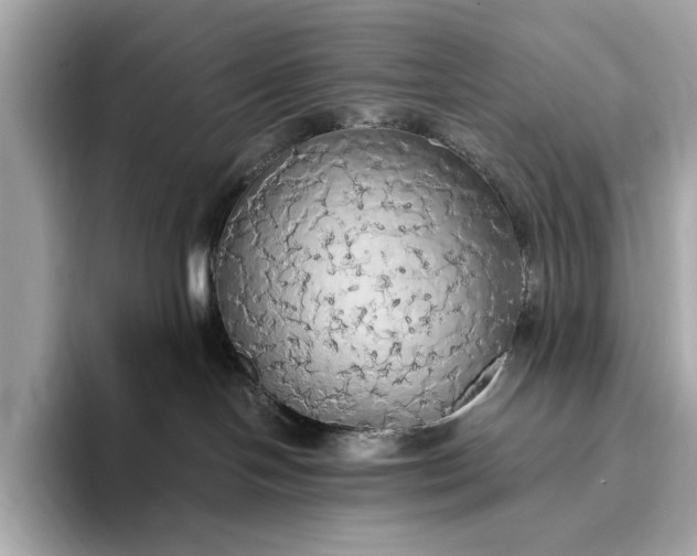 X0000093410094200710260947