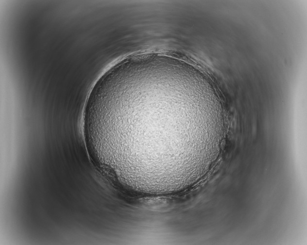 X0000093410100200710260946