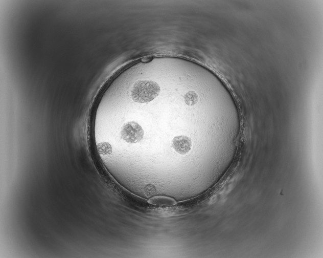 X0000093410103200710260946