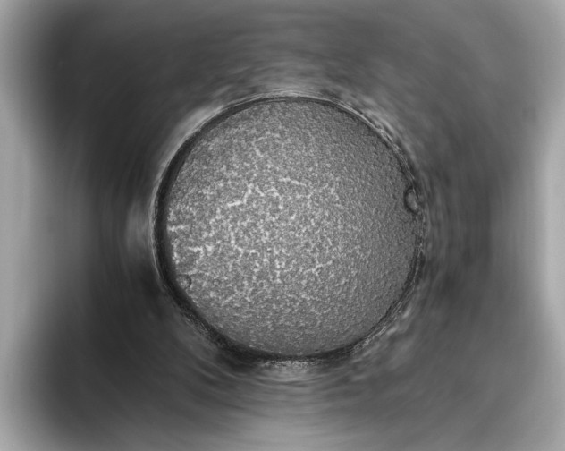 X0000093410104200710260946