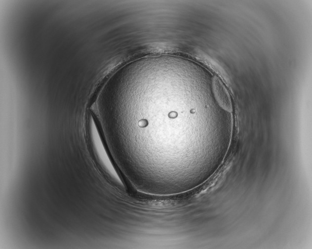 X0000093410105200710260946