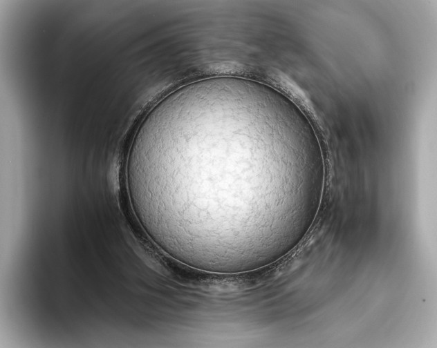 X0000093410106200710260946