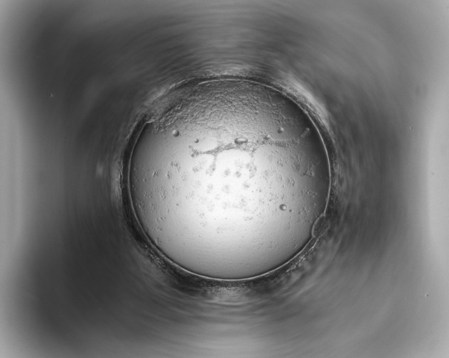 X0000093410107200710260946