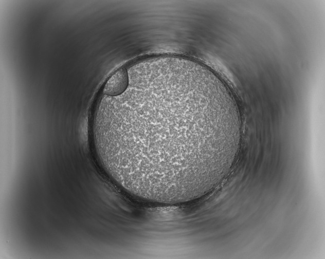 X0000093410108200710260946