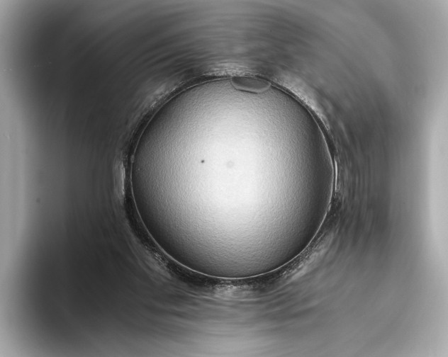 X0000093410109200710260946