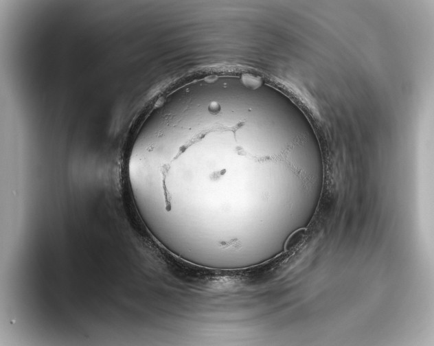 X0000093410111200710260946