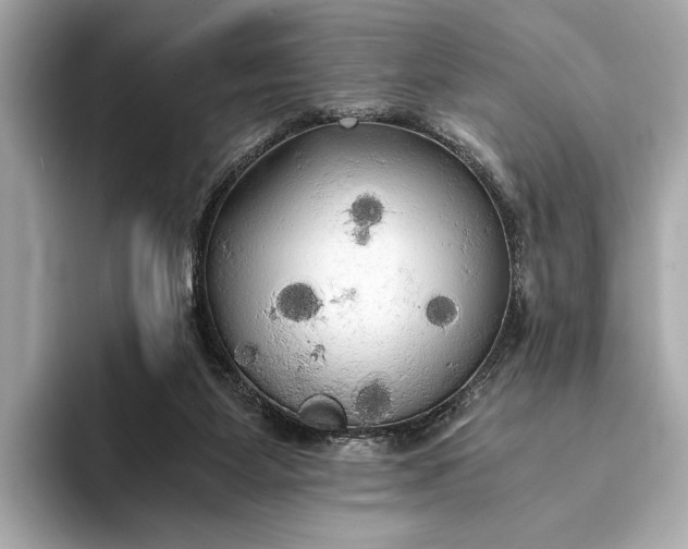 X0000093410115200710260946