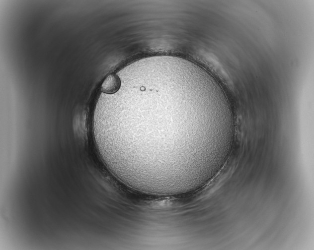 X0000093410116200710260946