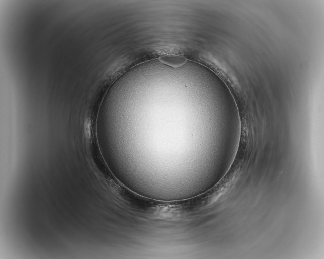 X0000093410117200710260946