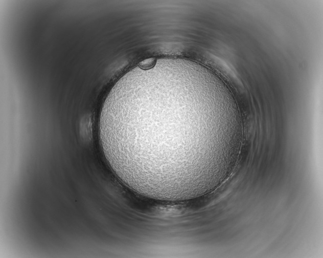 X0000093410120200710260946