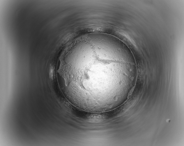 X0000093410123200710260946