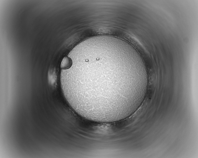 X0000093410124200710260946