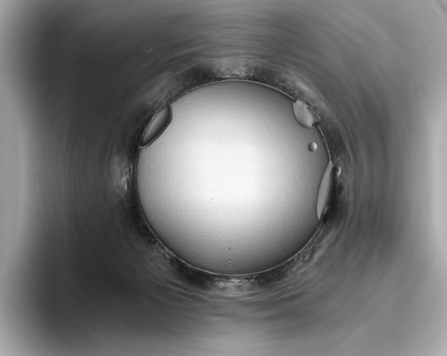 X0000093410125200710260946