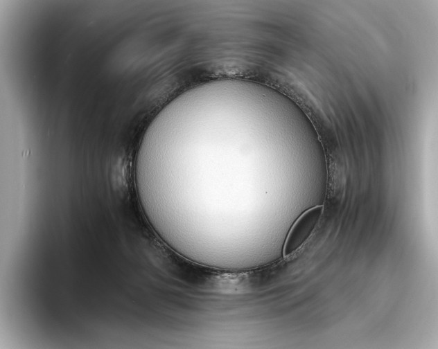 X0000093410126200710260946