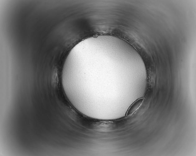 X0000093410128200710260946