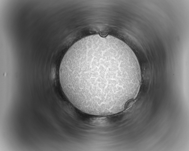 X0000093410132200710260946